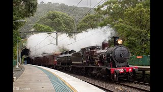 3265 amp 4501 Steam to Surf Sunday 300624 [upl. by Hait]