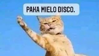 Piki Piki Ponki Paka Mielo Disco 🎶🎵 [upl. by Pylle]