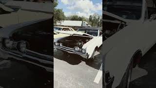 Car Show Kumquat Festival automobile cruisetime classic 37spiker [upl. by Eelegna522]