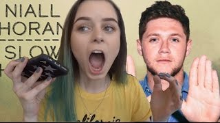 NIALL HORAN SLOW HANDS REACTION [upl. by Stovall]