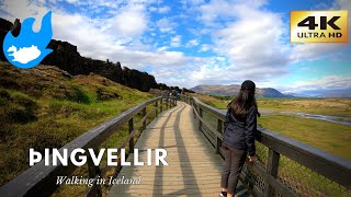 Þingvellir  Walking in Iceland 4K [upl. by Carmelita]