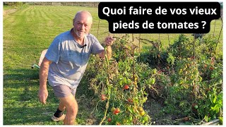 Quoi faire de vos vieux pieds de tomates en fin de saison [upl. by Nealy]