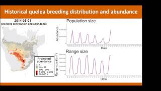 African workshop on fenthion risks and alternatives for quelea birds control Martin Dallimer [upl. by Godrich3]