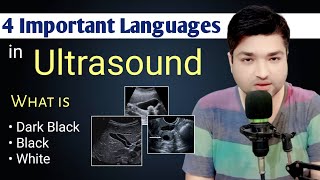 4 Important Language in Ultrasound by Dr Ali Waqar [upl. by Rimaa]