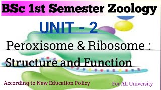 Peroxisome amp Ribosome  Ribosome Structure amp Function  BSc 1st Semester Zoology Unit  2 [upl. by Othilie]