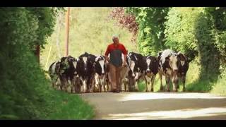 Glanbia Ingredients Ireland Farming for the Future  Ep02  Sustainability with Joe Hayden [upl. by Aicilegna]