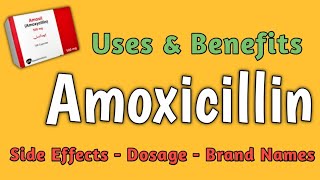 Amoxicillin and Clavulanic Acid  Augmentin  Augmentin Uses Dosage Side Effects amp Precautions [upl. by Meter1]