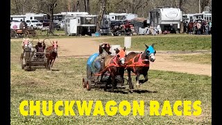 Chuckwagon Races [upl. by Oakley]