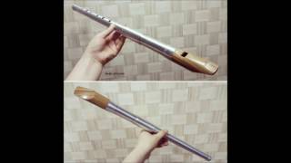 Anak Whistle Low D key  Spring In My Hometown Irish Tin Whistle [upl. by Yragerg]