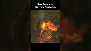 Rare Encounter Dwemer Praetorian skyrim elderscrolls gaming videogameseries games dungeons [upl. by Beberg]