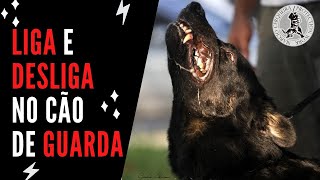 Como Ligar e Desligar o Cão de Guarda no Serviço de Proteção  Marcio Cerqueira [upl. by Waylon366]