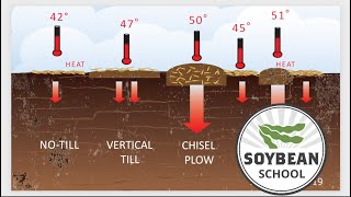 Soybean School To till or not to till [upl. by Alyekahs]