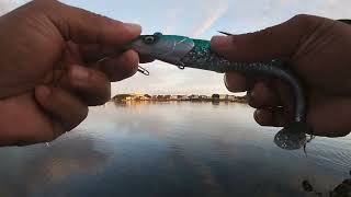 Doubled UP Cape Cod Canal Fishing [upl. by Mohl589]