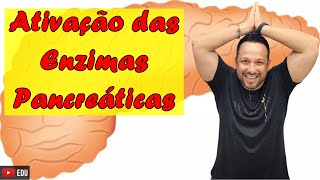 Ativação das Enzimas Pancreáticas  Tripsina Quimotripsina e Carboxipolipeptidase  Digestão [upl. by Cross]