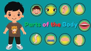 Parts of the Body  Body Parts  Learn Body Parts  parts of the Body for kidsSnigdhaKidsWorld [upl. by Nilyram843]