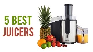 5 Best Juicers  Top Juicer Reviews UPDATED [upl. by Nowd834]