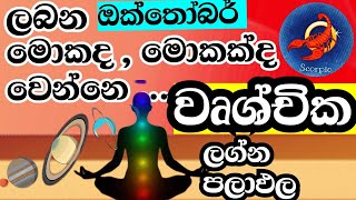 ලග්න පලාඵල  Monthly horoscope predictions  October horoscope 2024  Scorpio Horoscope Predictions [upl. by Seaver886]