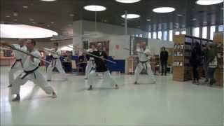 Okinawan Matayoshi Kobudo Demonstration in Finland [upl. by Emlynne985]