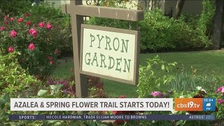 Azalea amp Spring Flower Trail in Tyler opens for 2023 season [upl. by Loss]