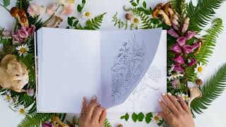 Woodland Wonderland flipthrough coloring book by Rachel Reinert [upl. by Landahl]