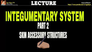 INTEGUMENTARY SYSTEM  PART 2 [upl. by Ahsitak459]