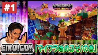 【ゲーム実況】EIKOがマインクラフトに初挑戦！生配信！ [upl. by Yenhoj906]