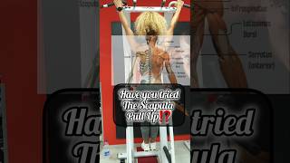 Scapular Pull ups‼️How to⁉️fitness health exercise strength strengthtraining backworkout [upl. by Eannej]