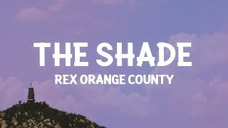 Rex Orange County  THE SHADE Lyrics [upl. by Lundeen725]