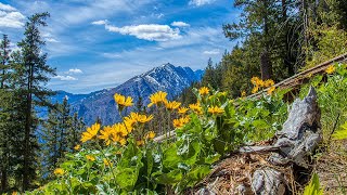 Icicle Ridge Trail [upl. by Iderf]