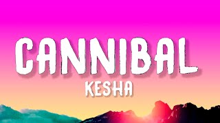 Kesha  Cannibal Lyrics [upl. by Zaneski]