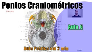 Pontos Craniométricos  Parte 5  Teórica  Anatomia Humana [upl. by Akirehc]