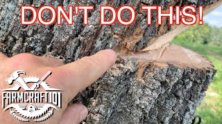 No Nonsense Guide to Tree Felling How to cut down a tree safely FarmCraft101 [upl. by Loos]