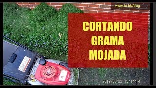 Por que no cortar la grama mojada [upl. by Garda]