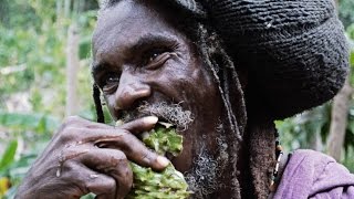 Rastafarian encounter in the Canaan Mountains Jamaica [upl. by Gombosi]