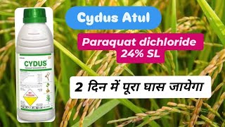 Cydus Herbicide Atul Paraquat dichloride 24 SL [upl. by Hepza]