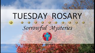 Tuesday Rosary • Sorrowful Mysteries of the Rosary 💜 November 14 2023 VIRTUAL ROSARY  MEDITATION [upl. by Jelena]