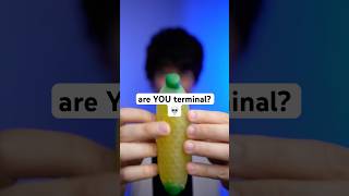 are YOU terminal 💀 asmr [upl. by Youngman259]