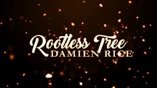 Damien Rice  Rootless Tree Lyrics [upl. by Yorle]