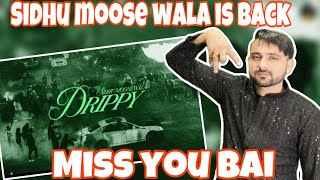 Reaction On Drippy Official Video  Sidhu Moose Wala  Mxrci  AR Paisley [upl. by Tammi]