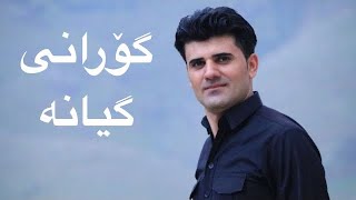 بەرهەم شەمامی ئەو گۆرانییەی تیکتۆکی هەژاند گیانە  Barham Shamami Gorani Geyana [upl. by Nnaeed]