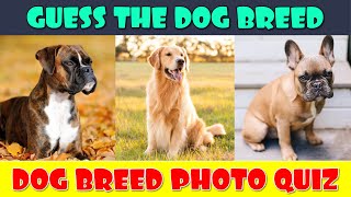 Guess the Dog Breeds Quiz [upl. by Nacnud122]