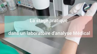 les informations nécessaires pour un stage pratique pour les étudiants de biologie f dz ستاج براتيك [upl. by Seravat]