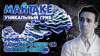 Майтаке  уникальный лечебный гриб при ожирении диабете раке Кому он особенно полезен [upl. by Lisk]