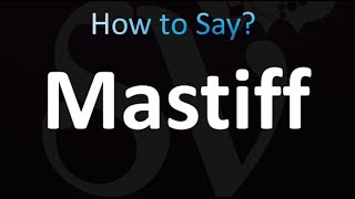 How to Pronounce Mastiff correctly [upl. by Aihsas]