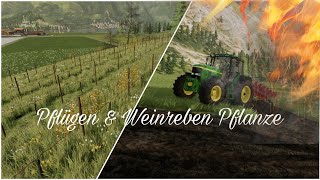 Fs22Ls22 Pflügen mit JD 7810 und Weinreben Pflanzen [upl. by Fernand]