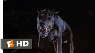 Fletch 510 Movie CLIP  The Doberman 1985 HD [upl. by Agathe]