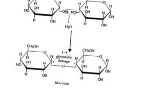 Carbohydrate structure and function [upl. by Agarhs]