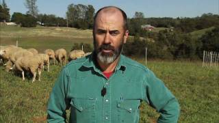 What is an Acre  Ask a Farmer Americas Heartland [upl. by Esyak]