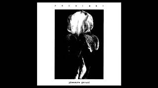 Prurient  Pleasure Ground Full Album [upl. by Nivrem653]