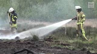 Weiterer Moorbrand in Niedersachsen Moorfläche auf den Bornhorster Wiesen in Brand [upl. by Coward]